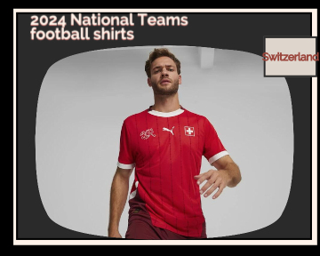 fake Switzerland football shirts 23-24